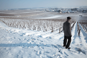 Migrated from <img src="/imageBank/a/Aubert-de-Villaine-at-Dme-de-la-Romanee-Conti.gif">
