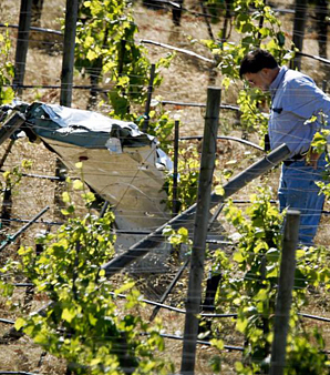 plane crash in Napa