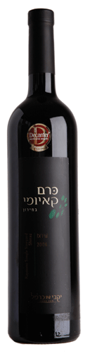 Carmel Winery Kayoumi Single Vineyard Shiraz 2008