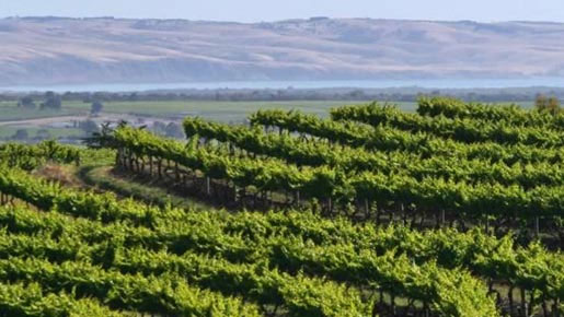 McLaren Vale McLaren Vale
