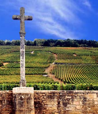 Domaine de la Romanee Conti Domaine de la Romanee Conti