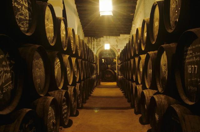 Gonzalez Byass barrel room Gonzalez Byass barrel room