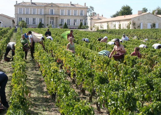 Bordeaux 2005 fraud