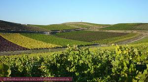 Rheinhessen