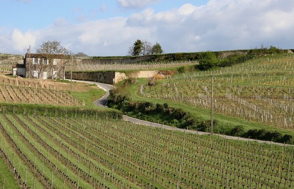 St Emilion