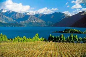New Zealand 