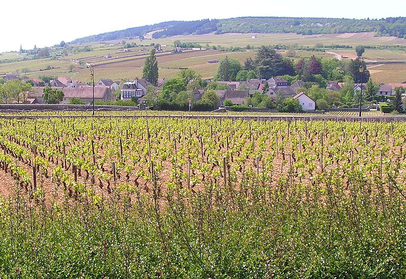 Meursault Meursault
