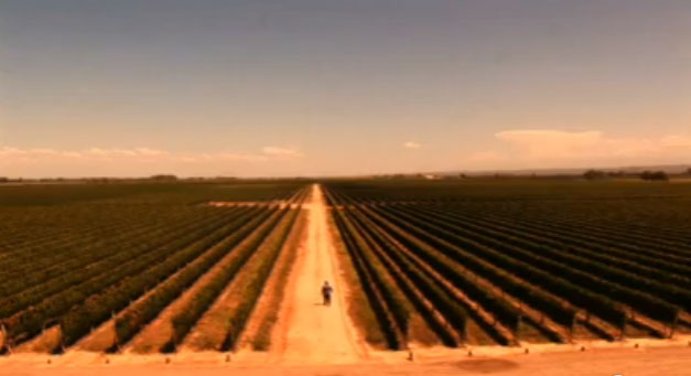 El Camino del Vino El Camino del Vino