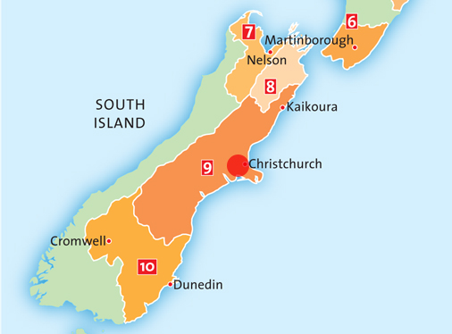 nz nz