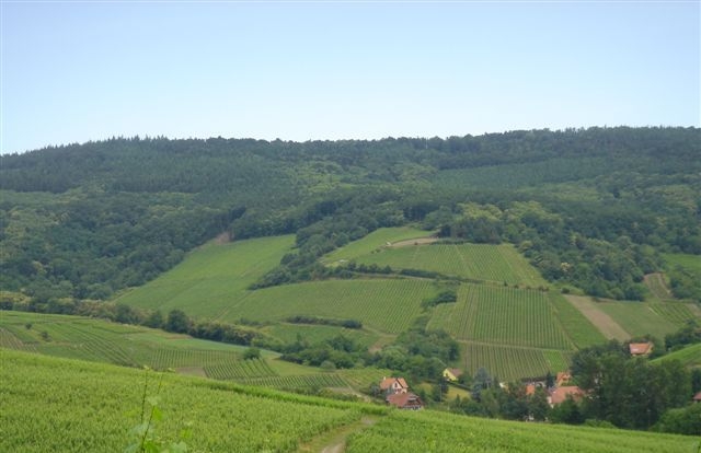 Schieferkopf Alsace