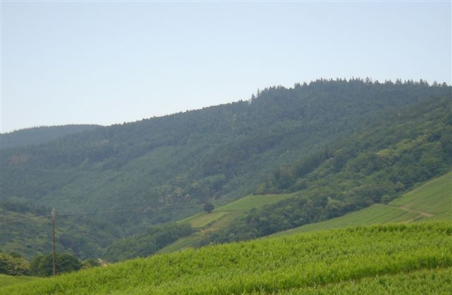 Schieferkopf 