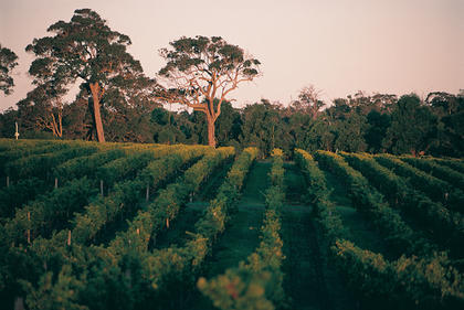 Margaret River