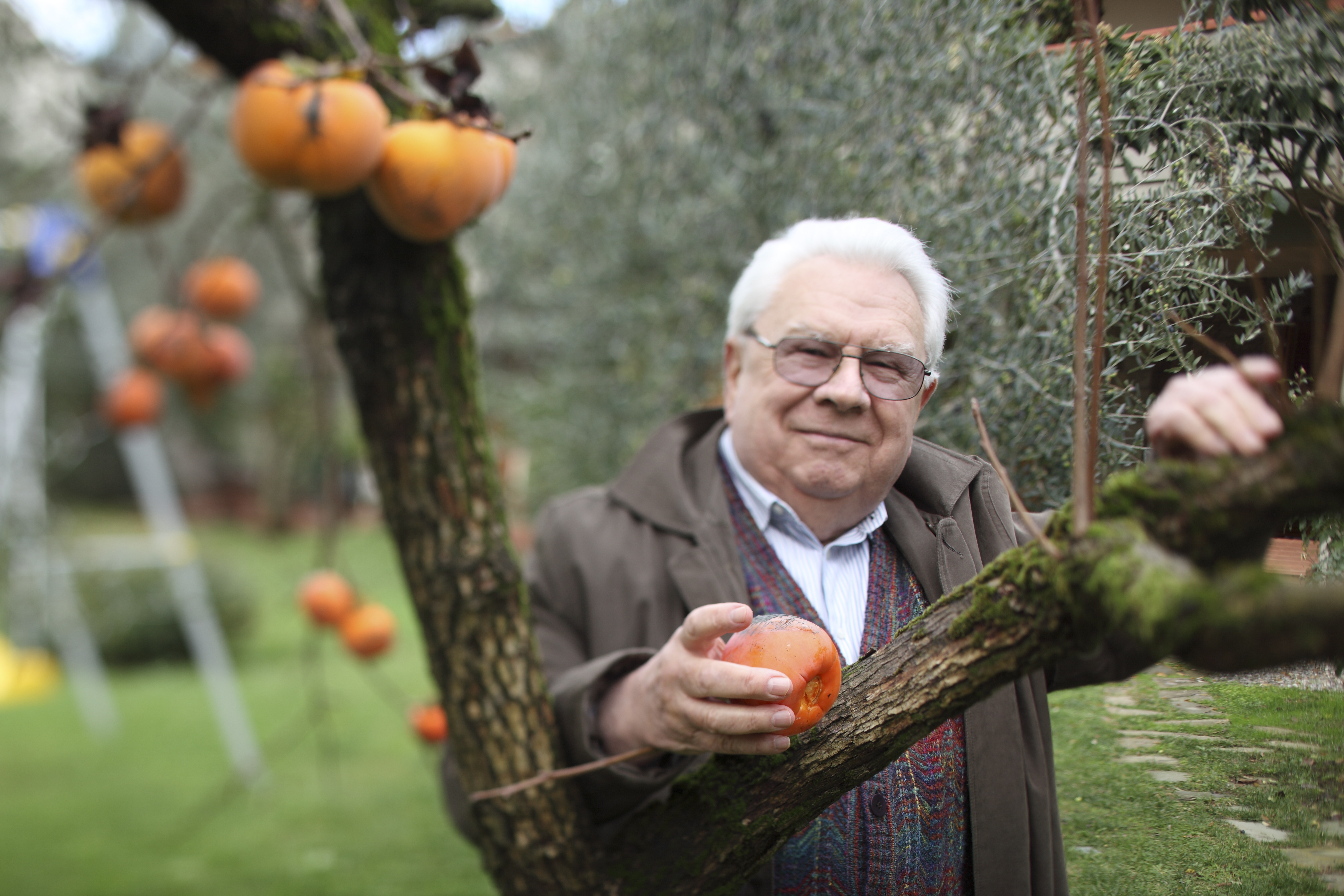 Giacomo Tachis
