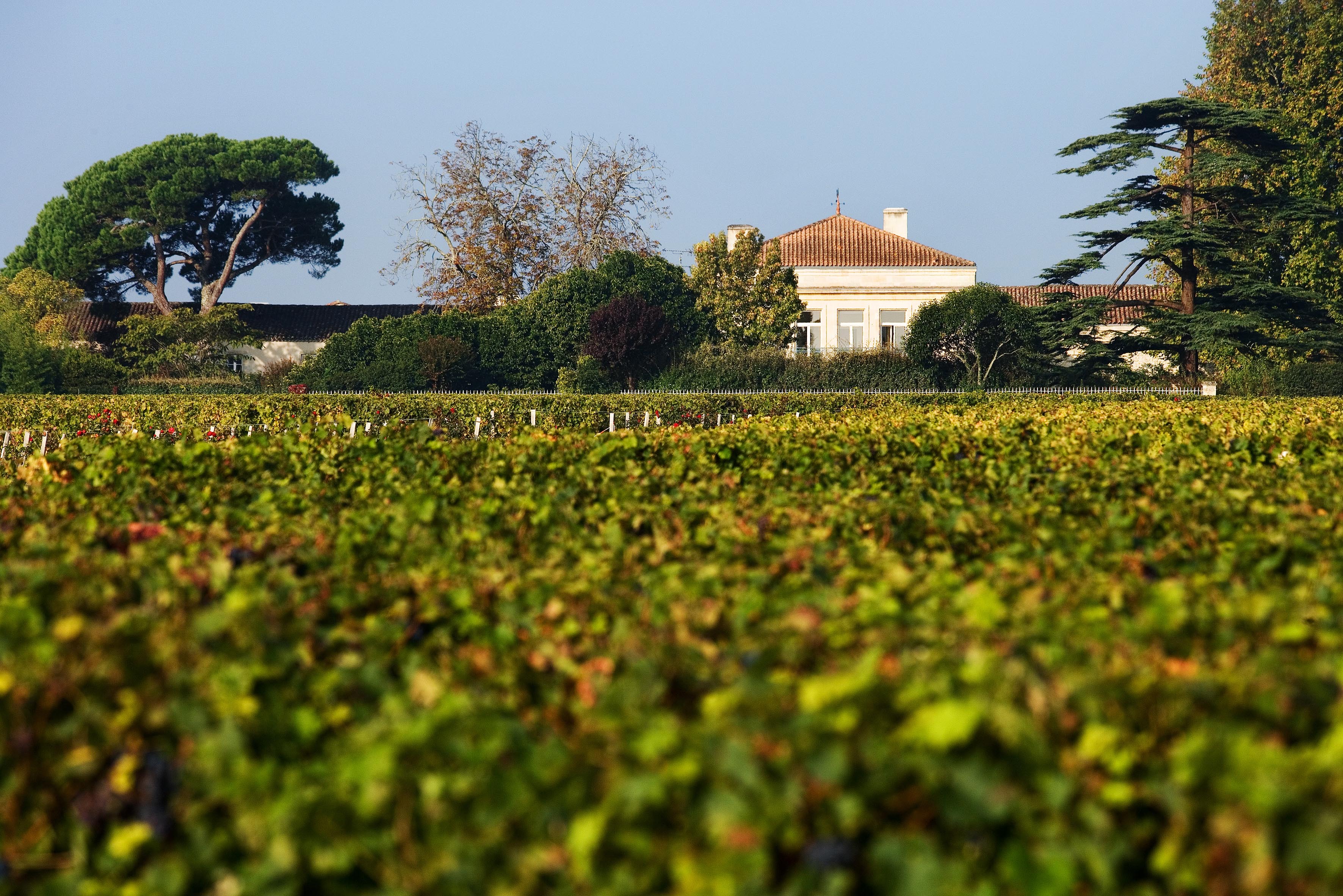1855 Chateaux
