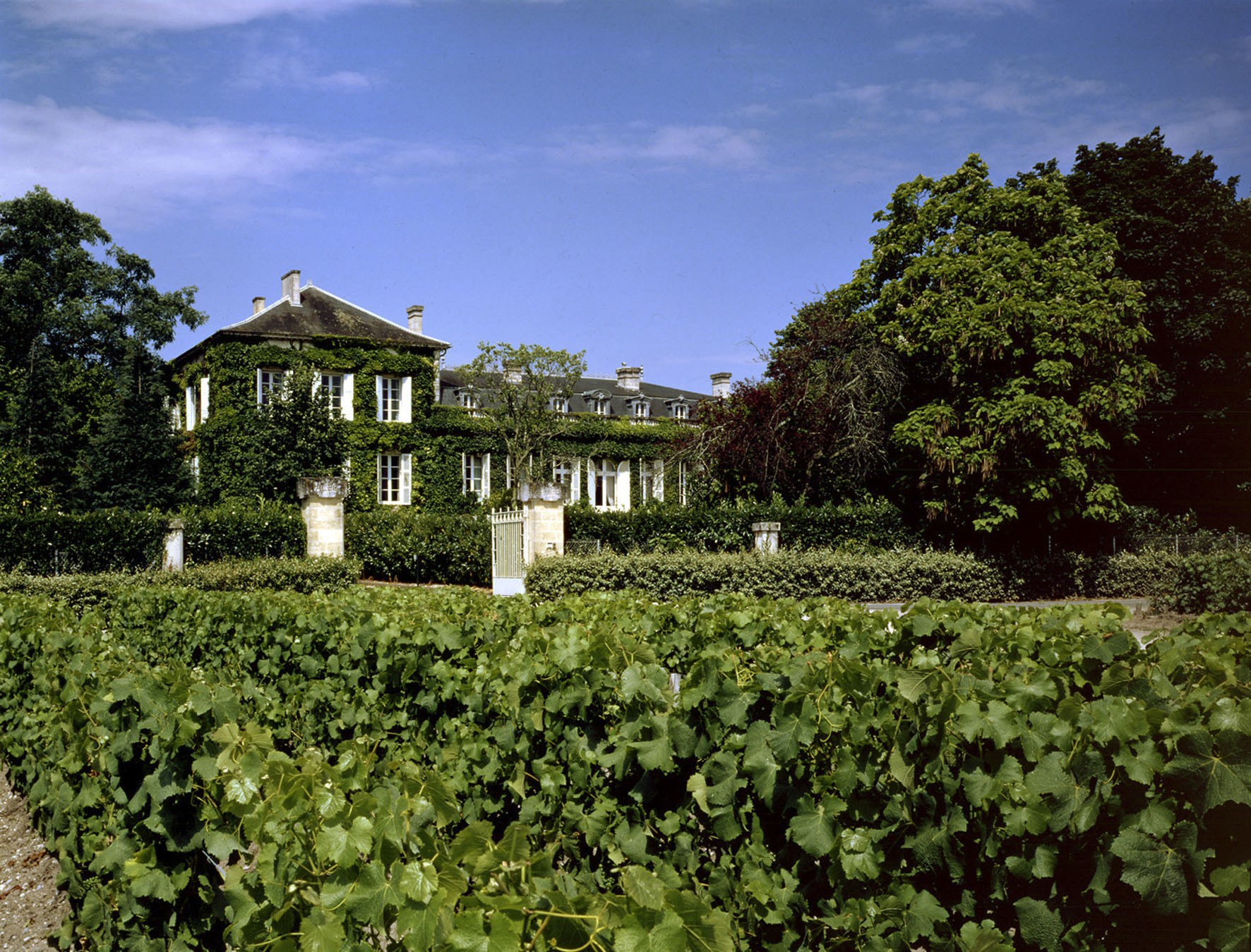 1855 Chateaux