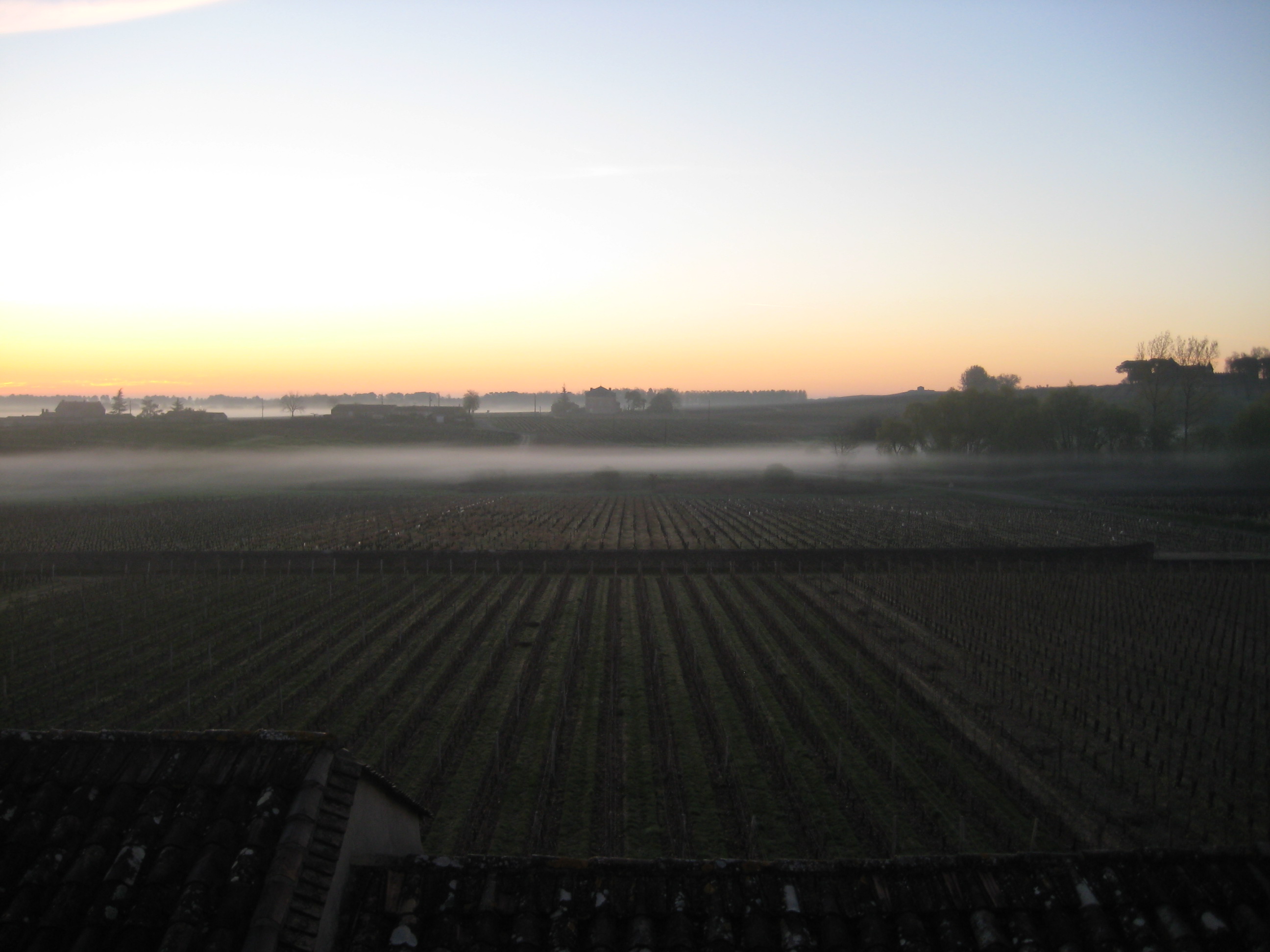 Bordeaux 2010