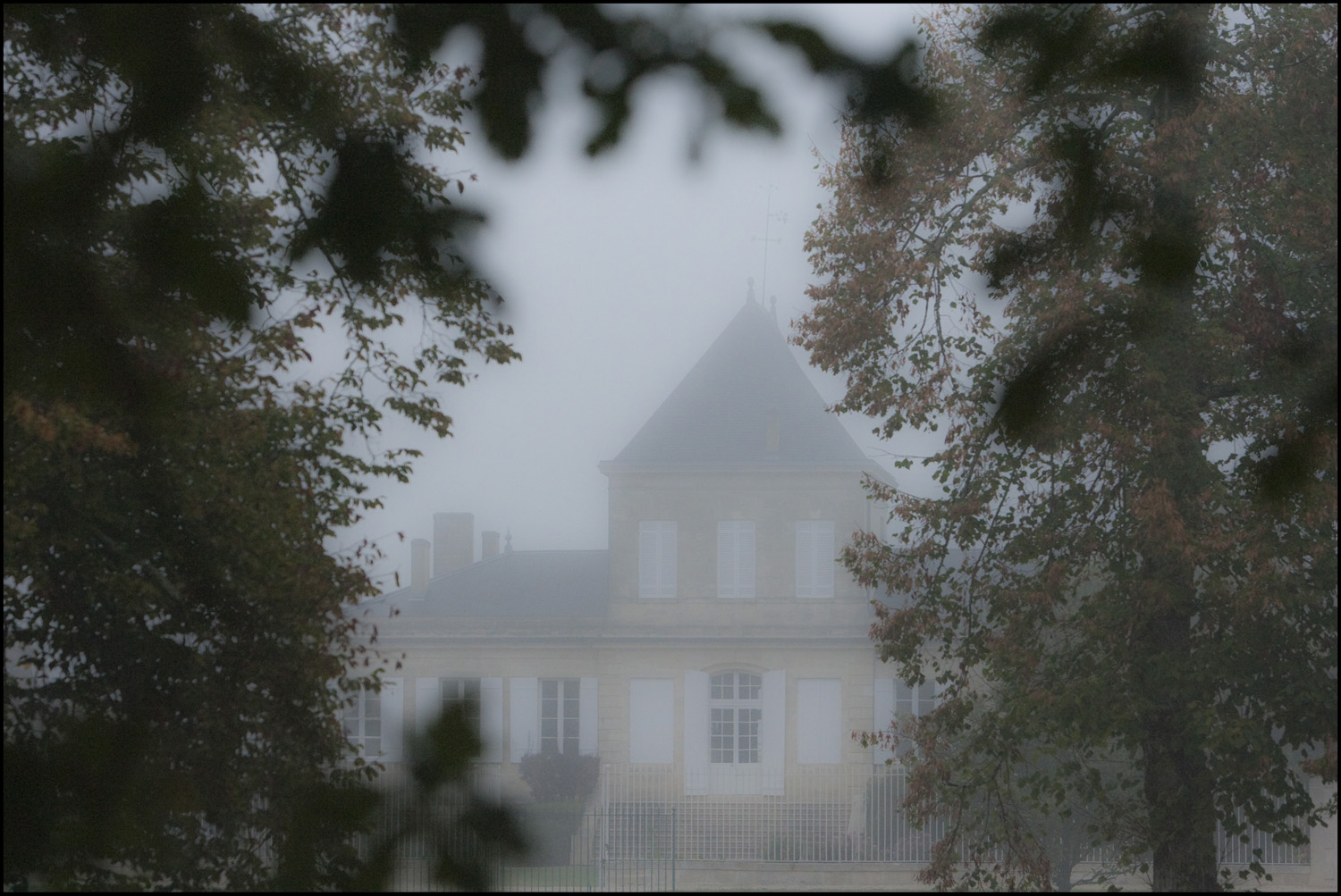 Bordeaux 2010 Brane Cantenac