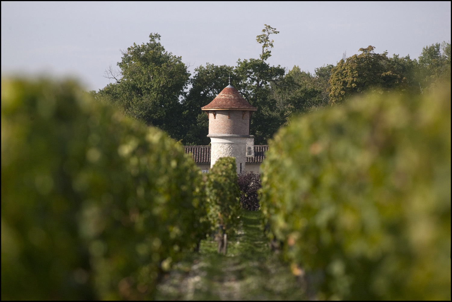Bordeaux 2010 Brane Cantenac