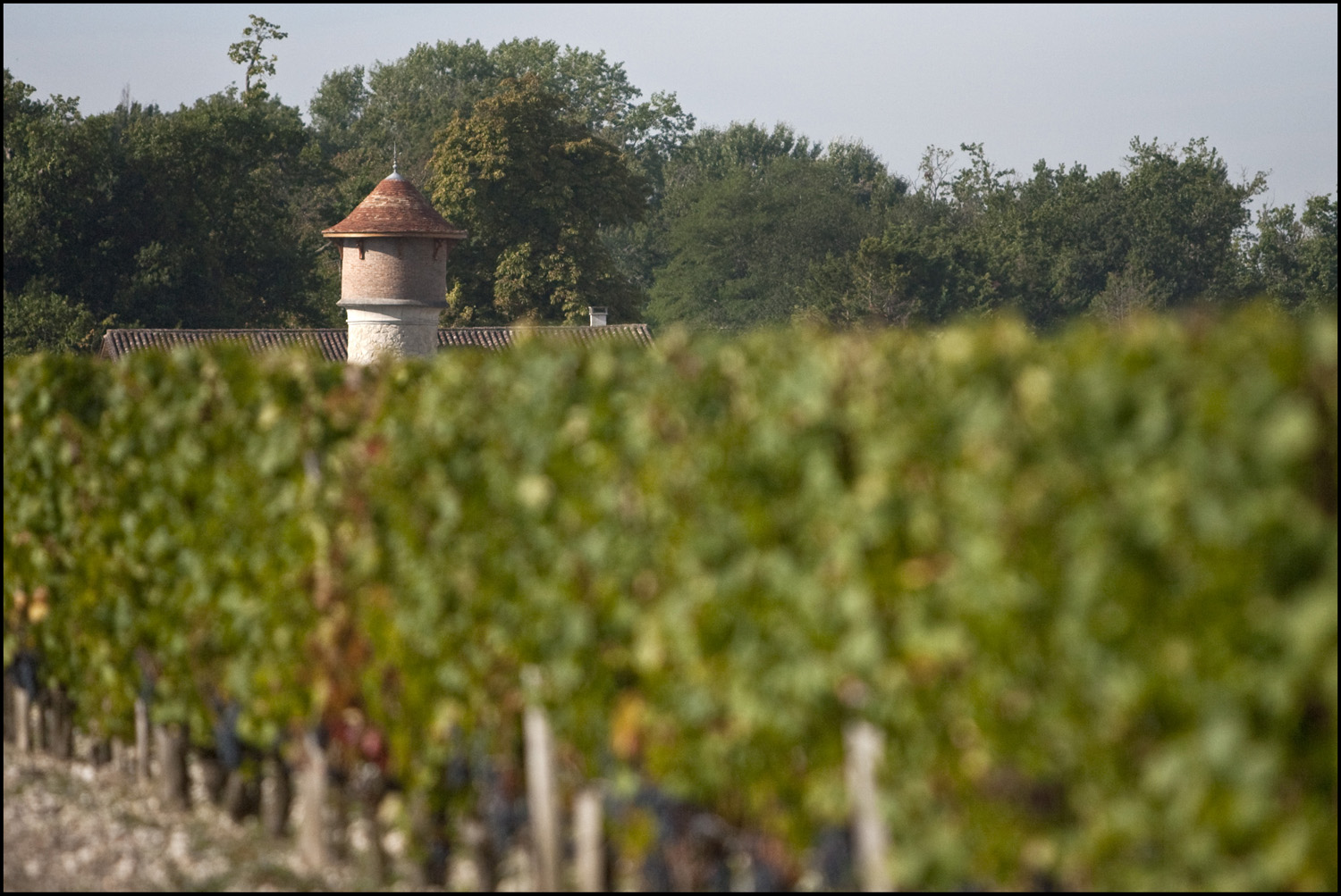 Bordeaux 2010 Brane Cantenac