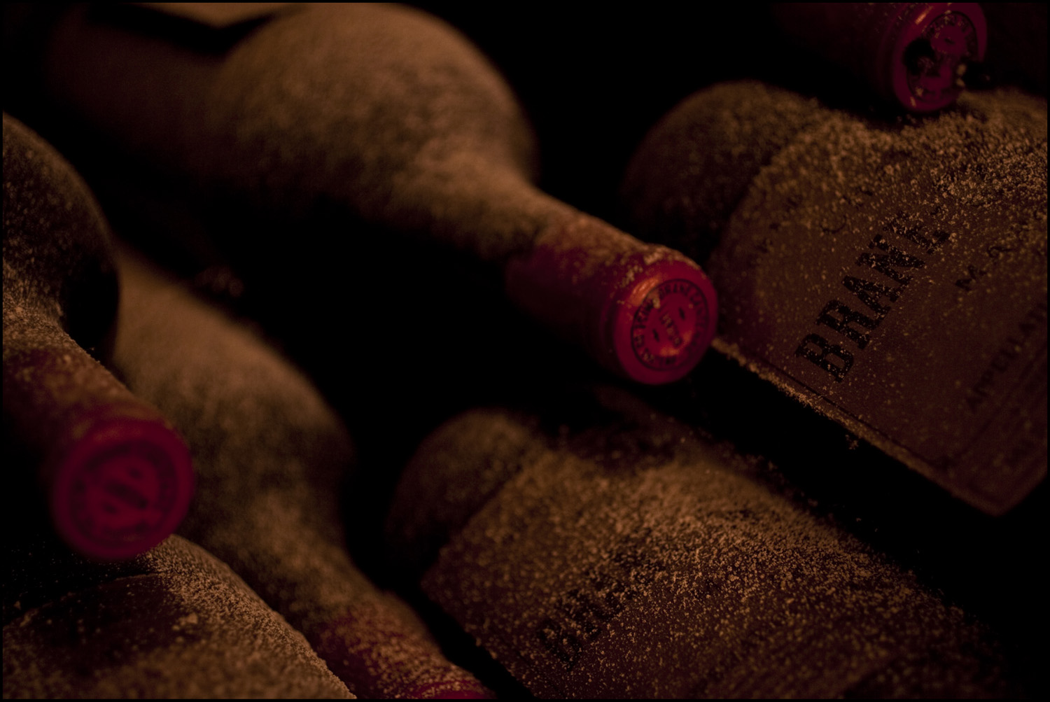 Bordeaux 2010 Brane Cantenac