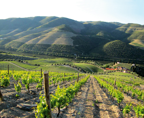 Quinta de Roriz in the Douro Valley Quinta de Roriz in the Douro Valley