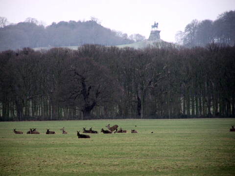 Windsor Great Park Windsor Great Park
