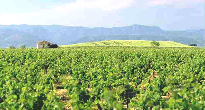 herault herault