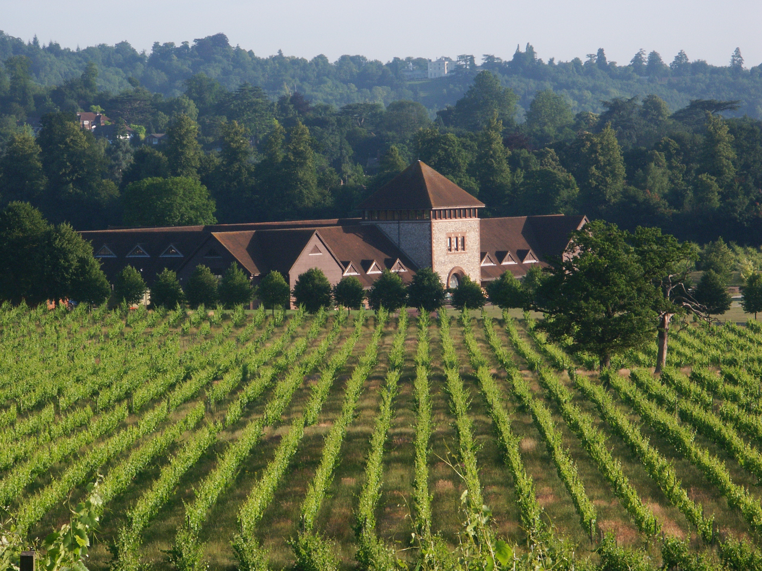 Denbies, Surrey