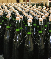 Wiston Wine Estate, Sussex ? bottles