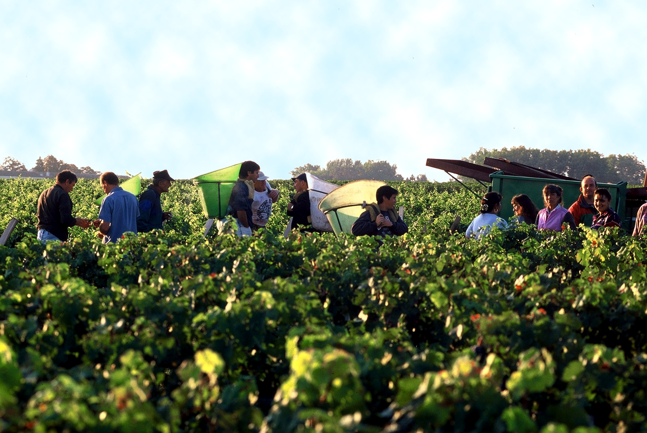 Bordeaux 2010 Lafite Rothschild