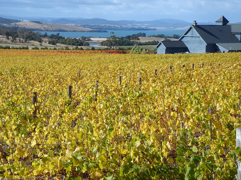 Tasmania