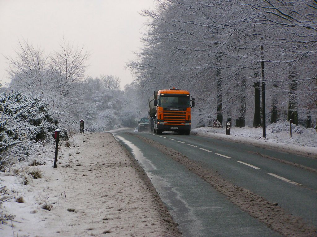 Winter