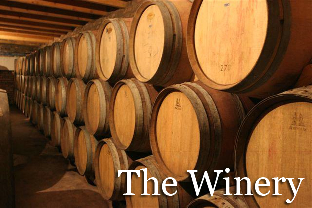 Winemaking