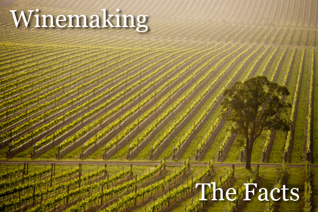 Winemaking