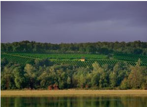 Anjou Loire