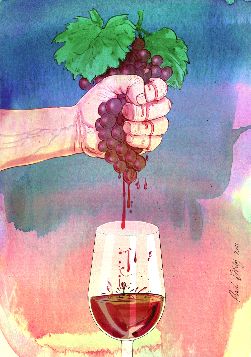 Natural wines illustration Natural wines illustration