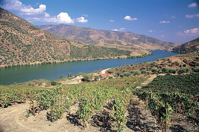 Douro Superior Douro Superior