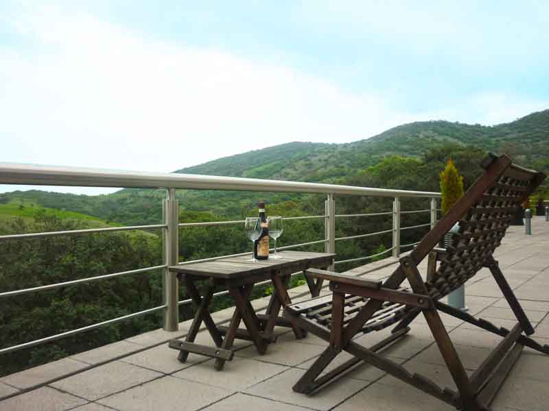 Wine-Styles-Photo-3
