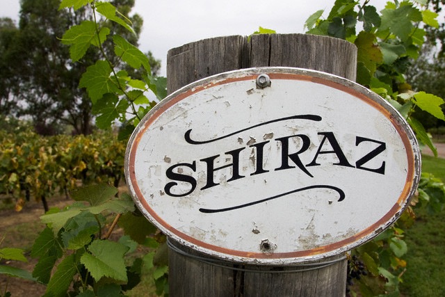 shiraz