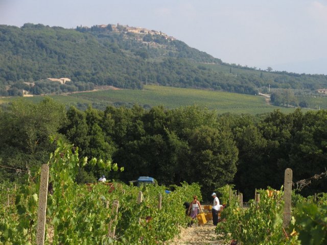 Montalcino Montalcino