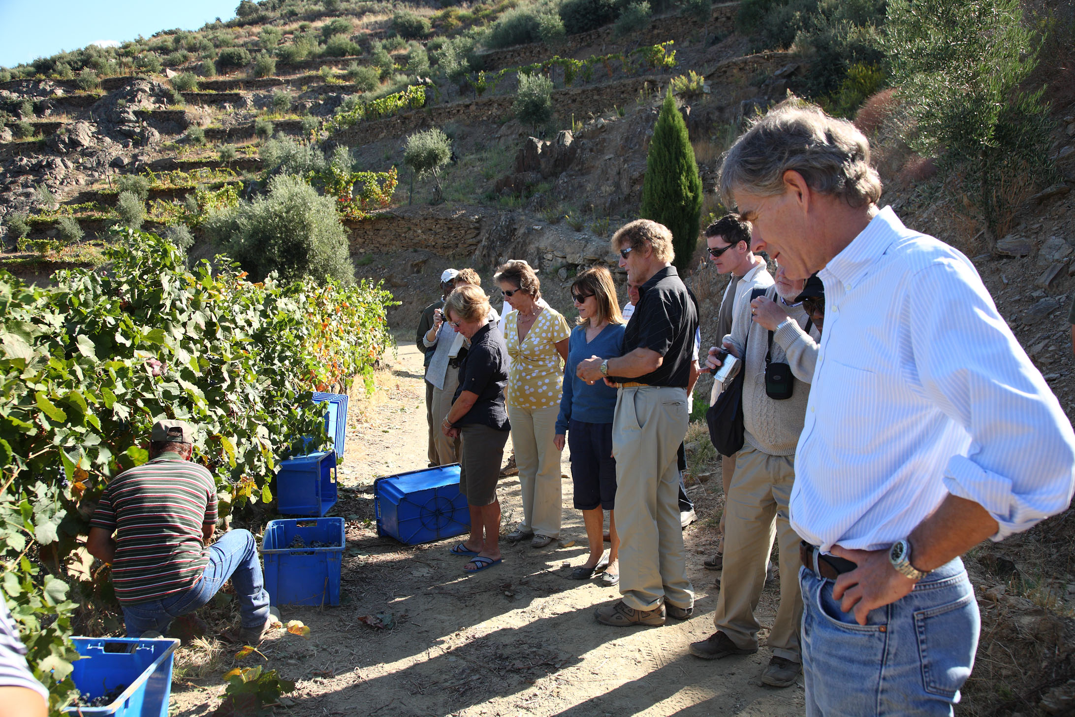 Decanter reader trip to the Douro Valley