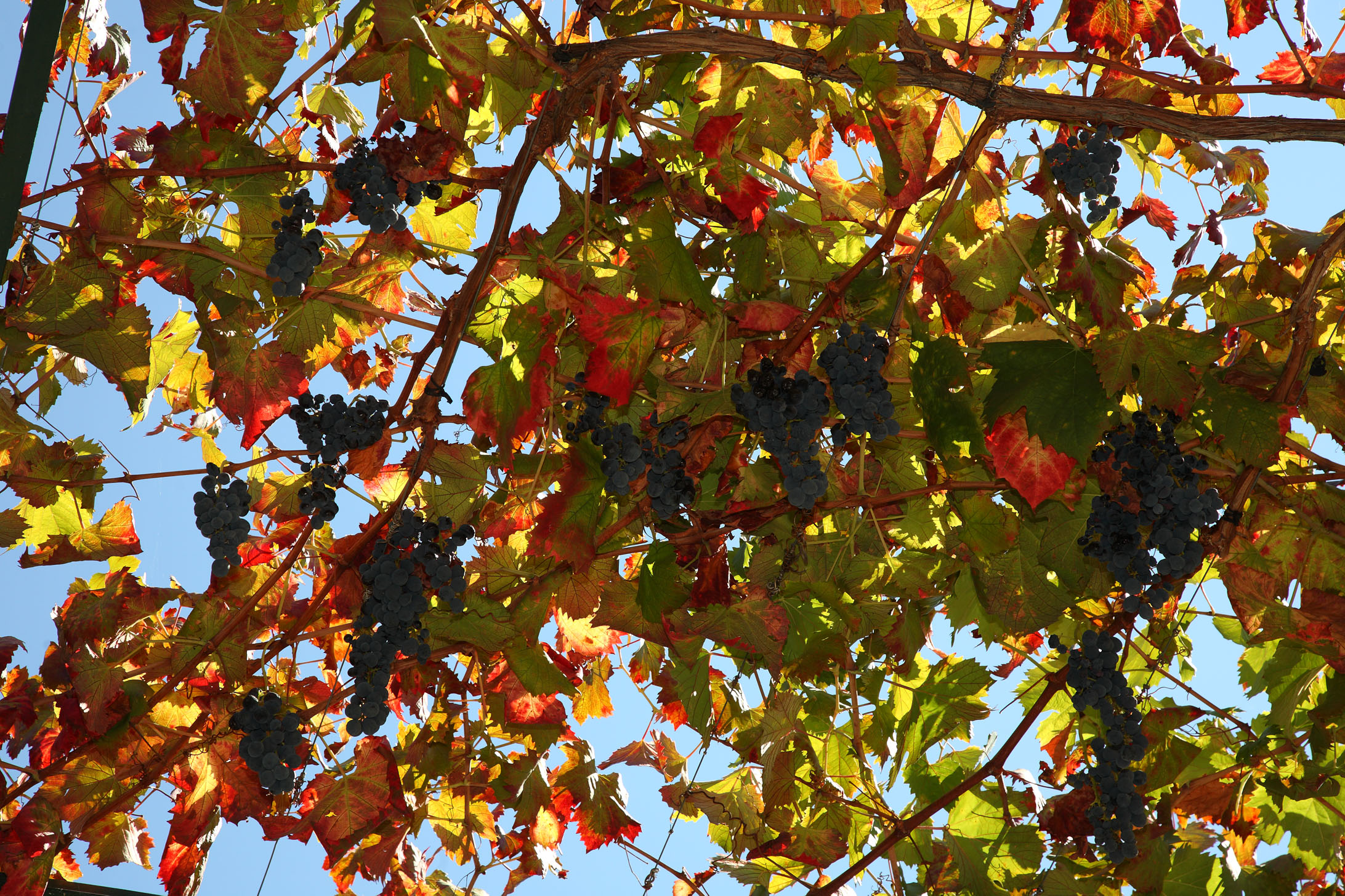 Decanter reader trip to the Douro Valley
