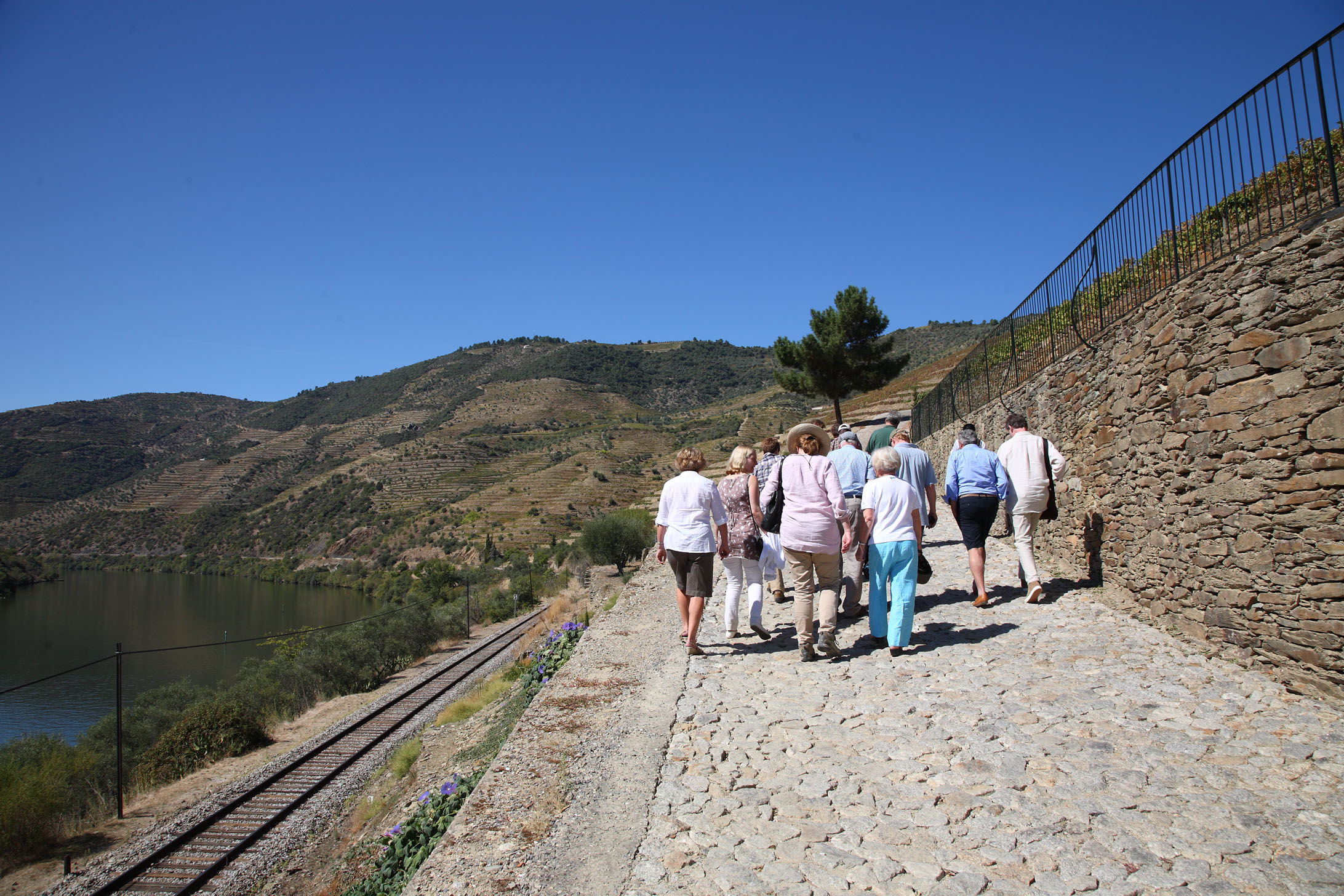 Decanter reader trip to the Douro Valley