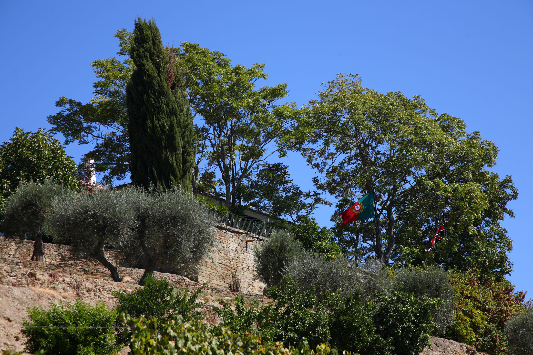 Decanter reader trip to the Douro Valley