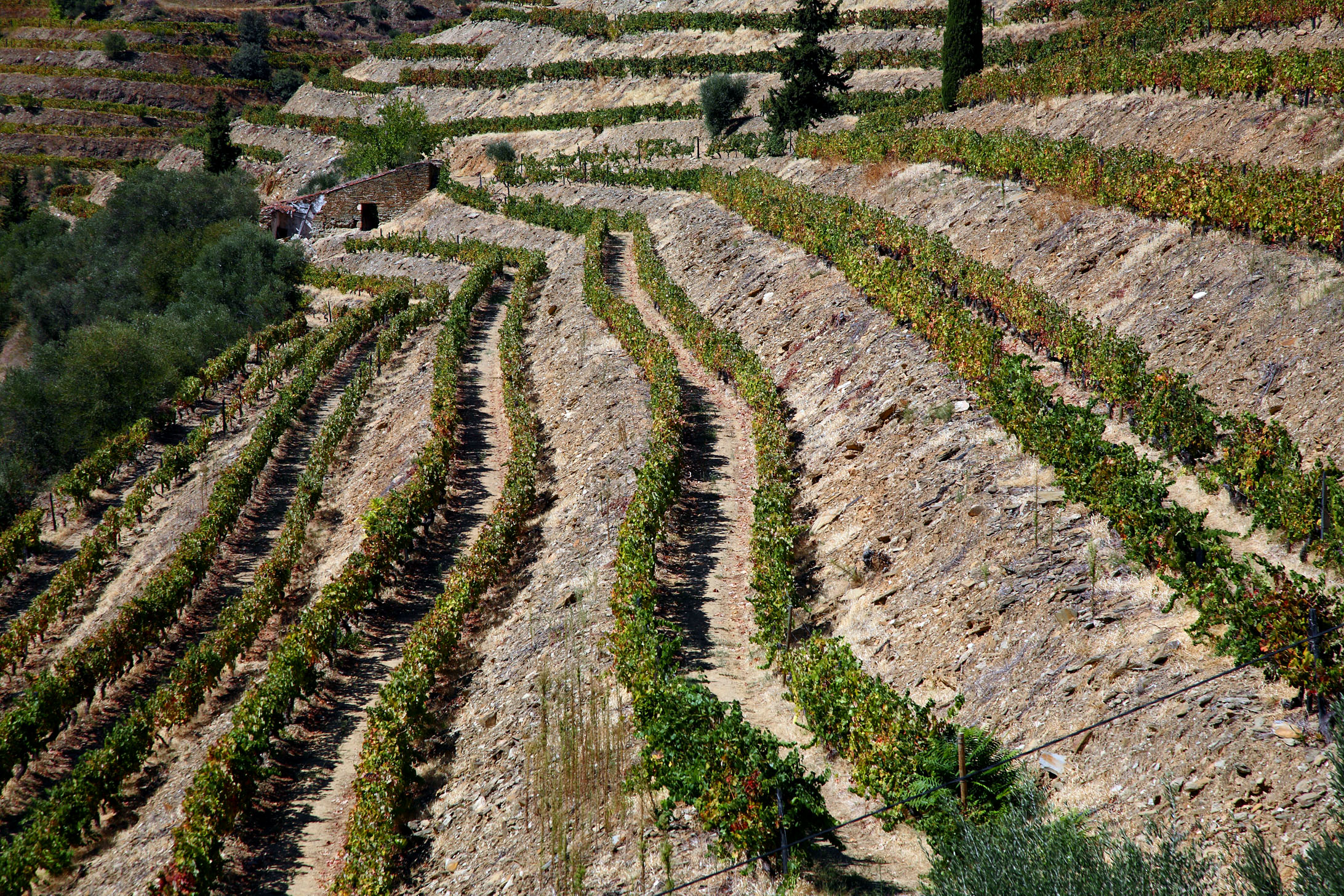 Decanter reader trip to the Douro Valley