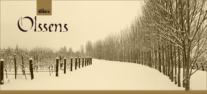 olssen's