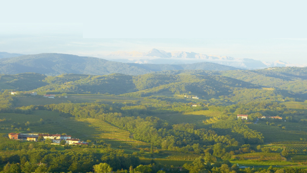 Friuli 