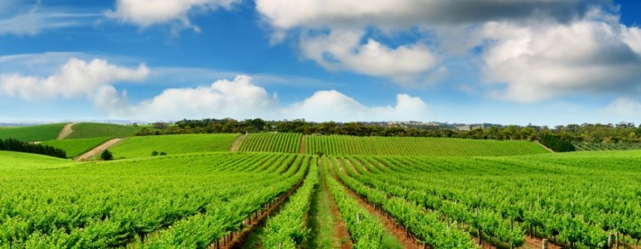 Hunter valley