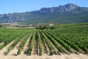 rioja