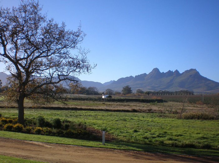 Klein Welmoed Farm 